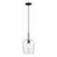 Luminaire suspendu en pot 1 lumière Vandeveer-493648724