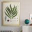 Collection Ferns III - reproduction d'art sur toile encadrée-34410541-34410528