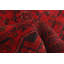 Tapis de zone en laine 5 pi 2 po x 6 pi 5 po à main one-of-kind-noué la 2010 esari Allaina