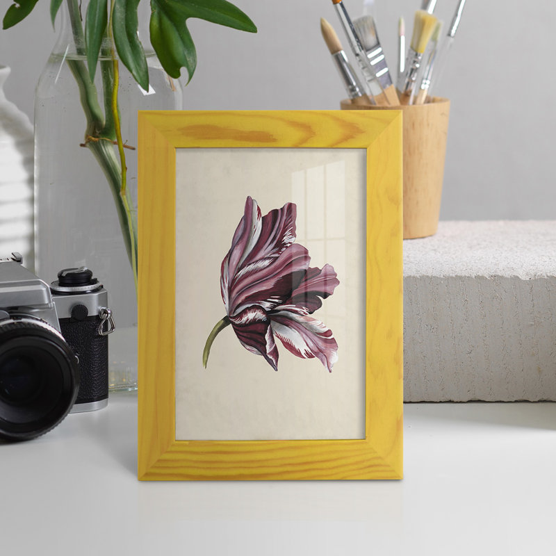 Antique Tulip Study III - Impression encadrée avec verre, H 7 po x l 5 po x P 1 po, Jaune