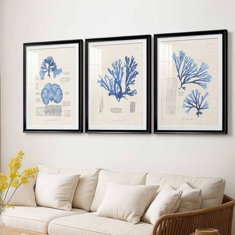 Blue Marine Algae IV - reproduction encadrée sur mesure de qualité supérieure mate - 3 pièces, H 39 po x l 81 po