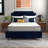 Early Bird Dual Cool Medium Hybrid Mattress-111567697-92439999