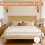 Structure de lit en rotin avec tête de lit en rotin naturel, base de lit plateforme, sommier à matelas, silencieux, pas de sommier tapissier, rangement sous le lit, assemblage facile-1913013716