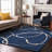 Premium Machine Washable Corum AMF999 Swirls Rug-229279600