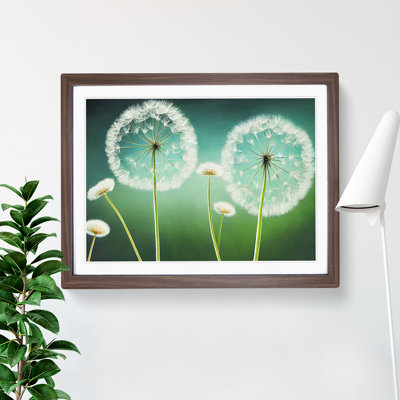 Dreamlike Dandelion Flowers - Single Picture Frame Print