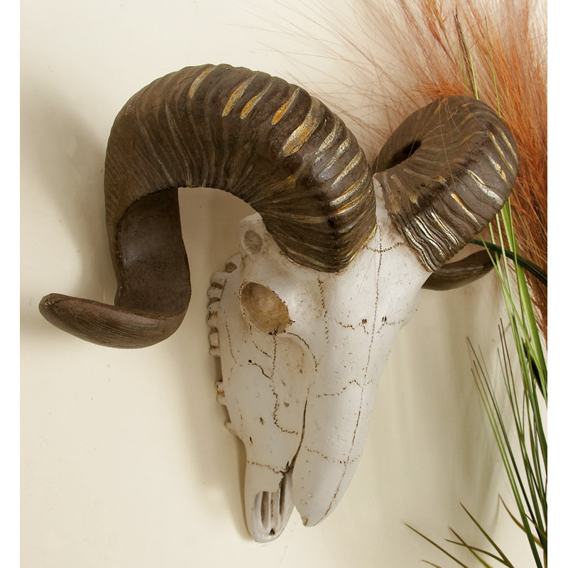 Polystone Skull Sheep White Wall Decor