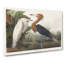 Purple Heron by John Audubon - Wrapped Canvas-55322321
