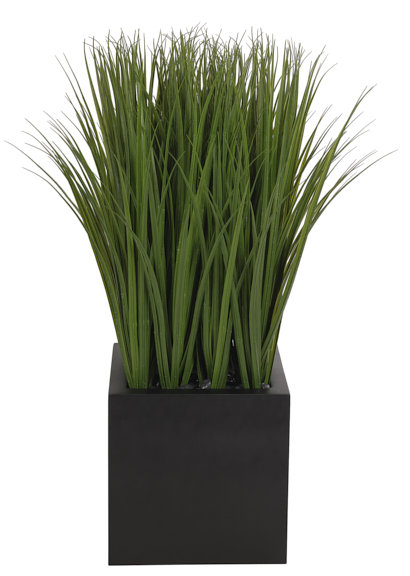 UV RATED Grass, Black Cube, 36wx36dx46h