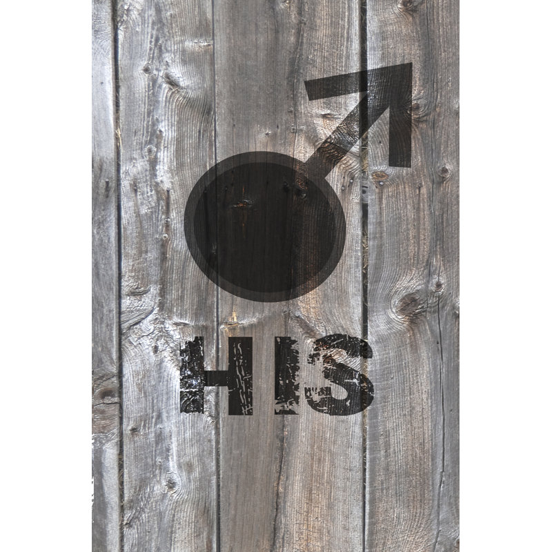 " His-N-Hers II " Painting Print, 36" H x 24" W x 1.25" D