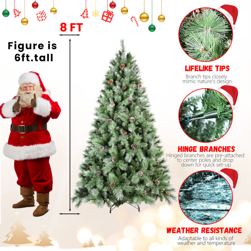 Arbre de Noël Scotch Pine, H 7 pi 6 po