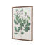 Foliage and Blooms Framed Art