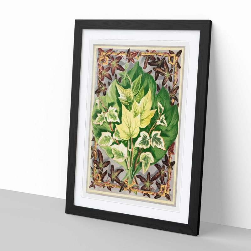 Ivy Leaves by Shirley Hibberd - Picture Frame Painting Print, 65cm H x 48cm W x 2cm D, Black Framed