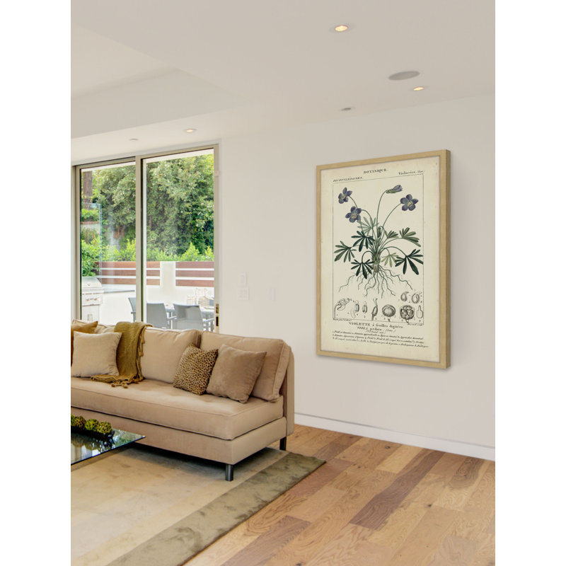 «Botanique Study in Lavender IV», reproduction d'impression encadrée, H 18 po x l 12 po x P 1,5 po