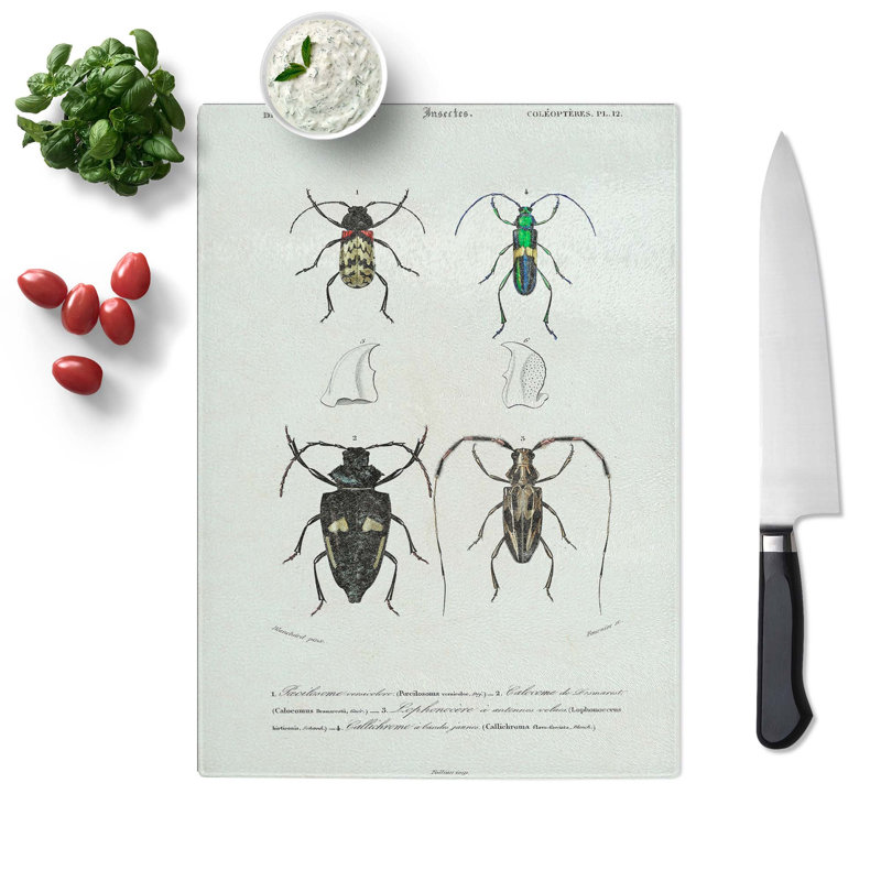 Tempered Glass Beetle Illustrations PL.12 by Charles d'Orbigny Chopping Board, 28.5cm W x 20cm L