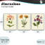 Ensemble de giclée encadrée 3 pièces Vintage Flowering Plants, conception par Connie Resch-502521050-502521051
