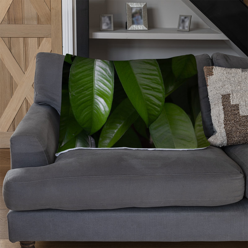 Doneka Plain Weave / Muslin Throw Blanket