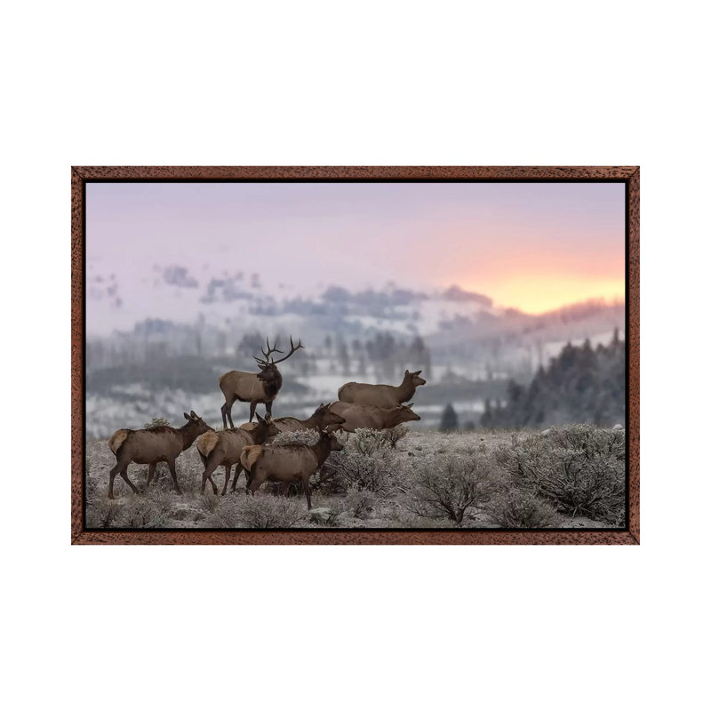 First Light by Nick Kalathas - Print on Canvas, 45.72cm H x 66.04cm W x 3.81cm D, Classic Brown Wood Floater Framed