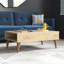 Aeliana Four Leg Coffee Table with Storage