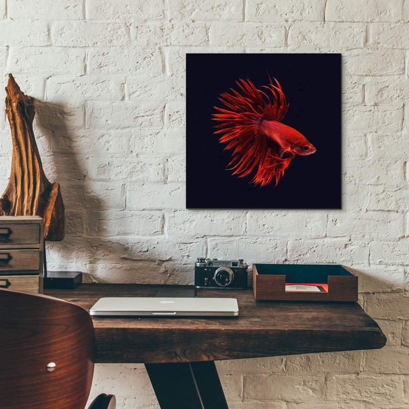 «Red Betta Fish» par PhotoINC Studio, H 12 po x l 12 po x P 0,13 po
