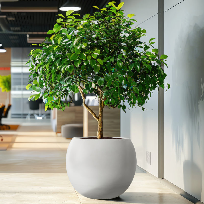 Jardinières d'extérieur de style moderne pour porche, jardinière ronde avec trou de drainage, pots à fleurs Mgo, grandes jardinières de balcon