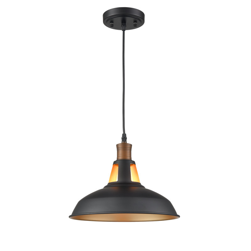 Reina 1 - Light Single Pendant, Black/Brass