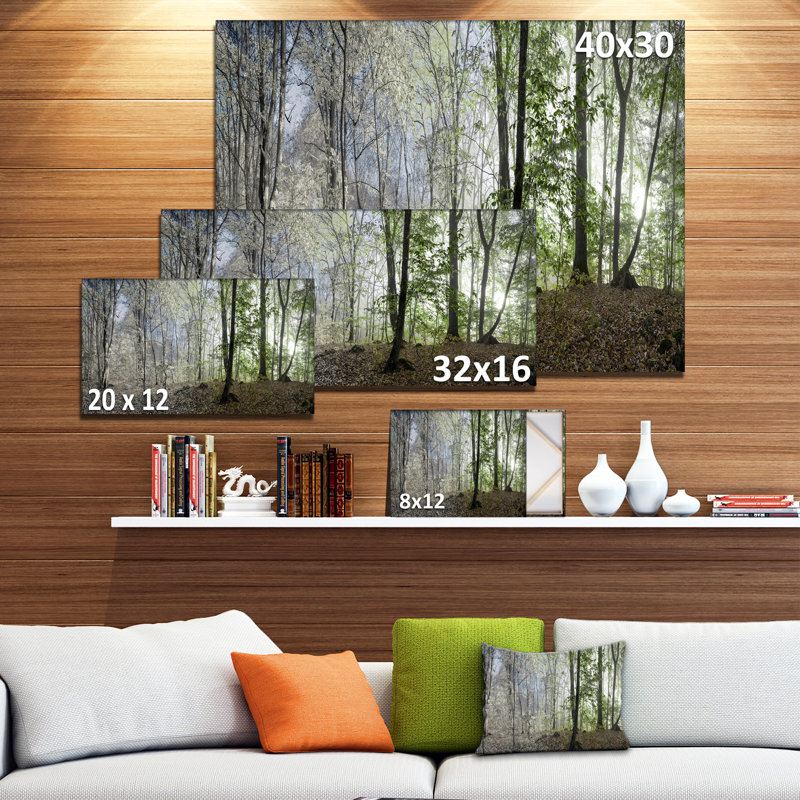 Green Morning Forest Panorama Canvas Art Print
