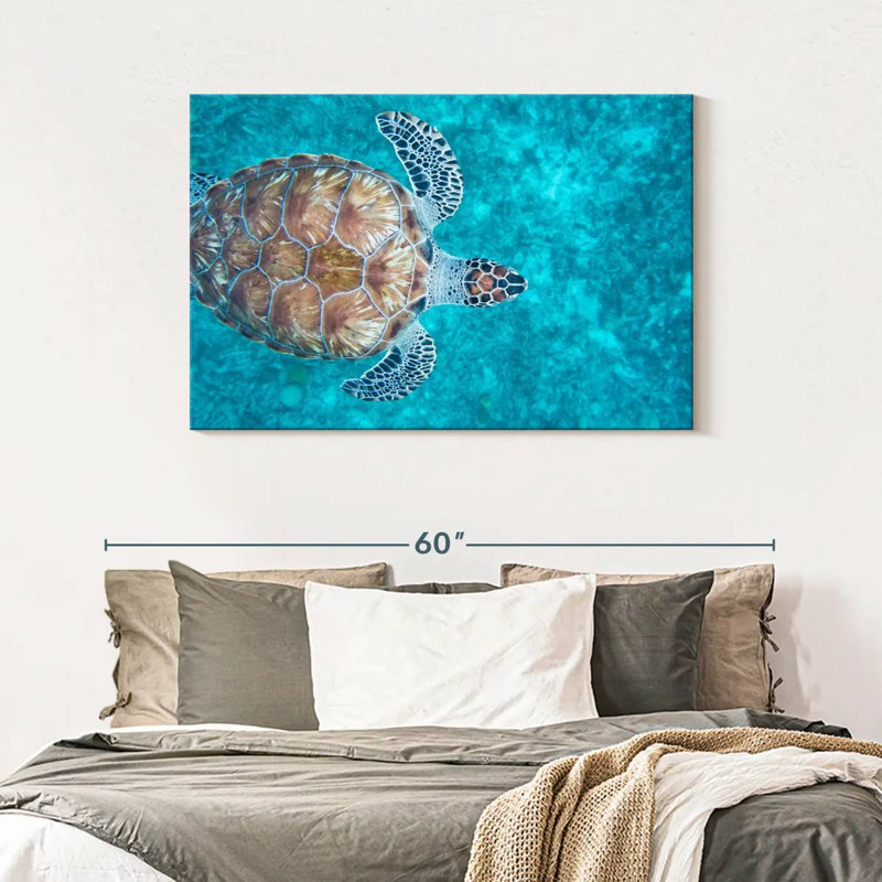 Natation tortue imbriquée, H 30 po x l 45 po