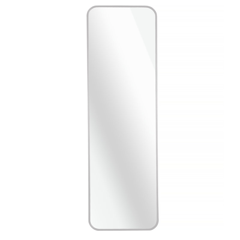 Door Mirror