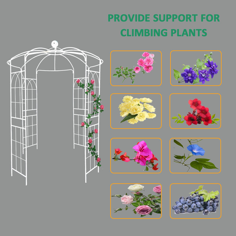 Pavillon de pergola en forme de cage à oiseaux pour la cérémonie de mariage