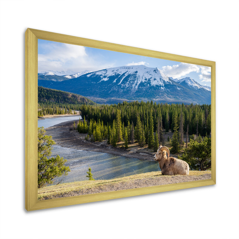 Faune sauvage, paysage de l'Alaska II, H 16 po x l 32 po x P 1 po, Encadrement doré