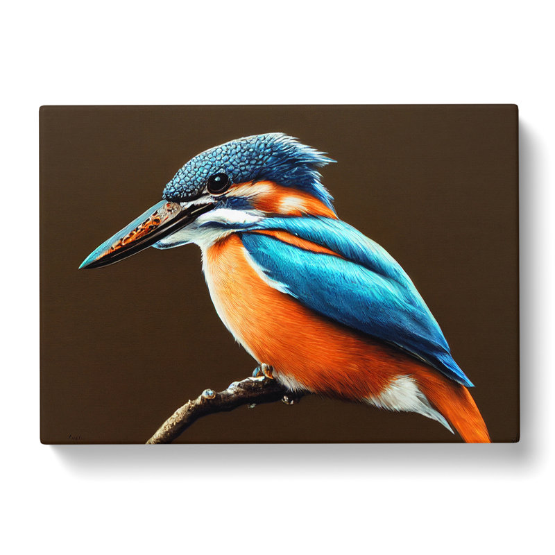 Effervescent Kingfisher Bird - Wrapped Canvas, 35cm H x 50cm W x 3cm D