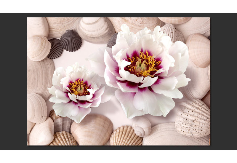Flowers and Shells 2.45m x 350cm Wallpaper, 350 cm x 245 cm