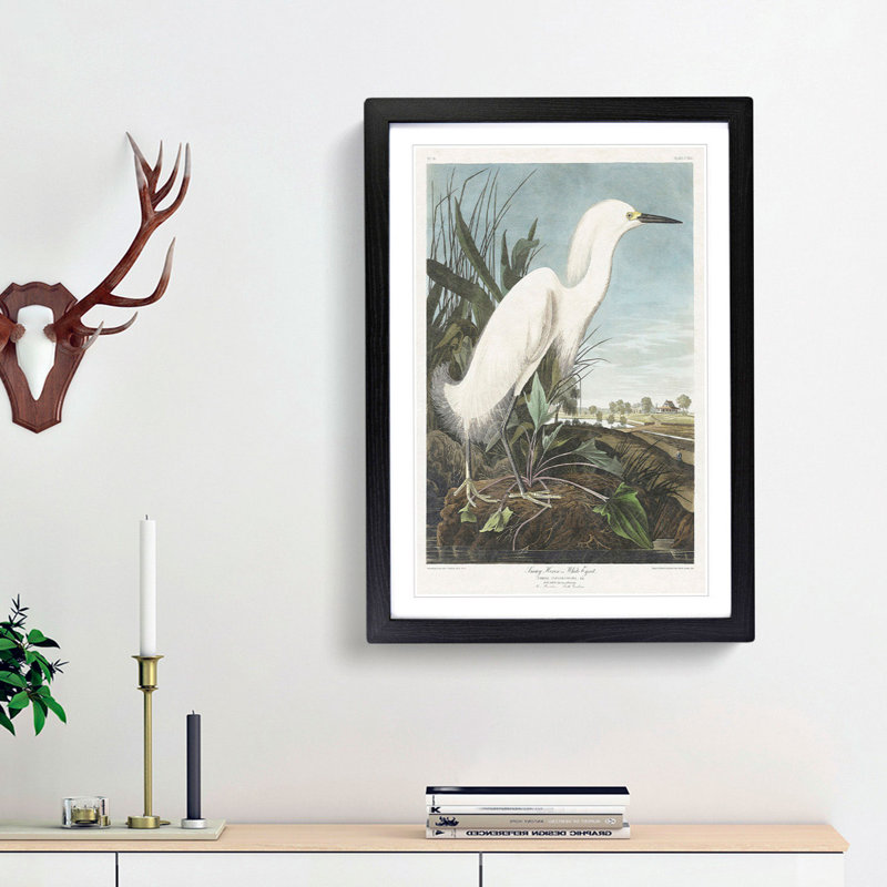 Snowy Heron by John Audubon - Picture Frame Painting Print, 65cm H x 48cm W x 2cm D, Black Framed