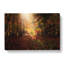 Sunlight Through The Trees - Wrapped Canvas-55318853