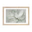 Transparent Transparent III - Sauge-530773735-530773754