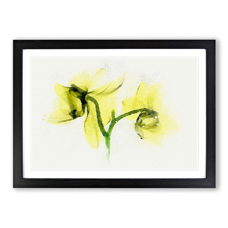 Yellow Orchid Flower in Abstract - Picture Frame Graphic Art Print, 50cm H x 76cm W x 2cm D, Black