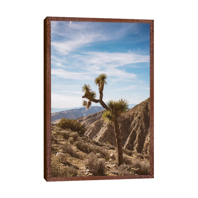 Joshua Tree National Park V by Bethany Young - Print on Canvas, 152.4cm H x 101.6cm W x 3.81cm D, Classic Brown Wood Framed