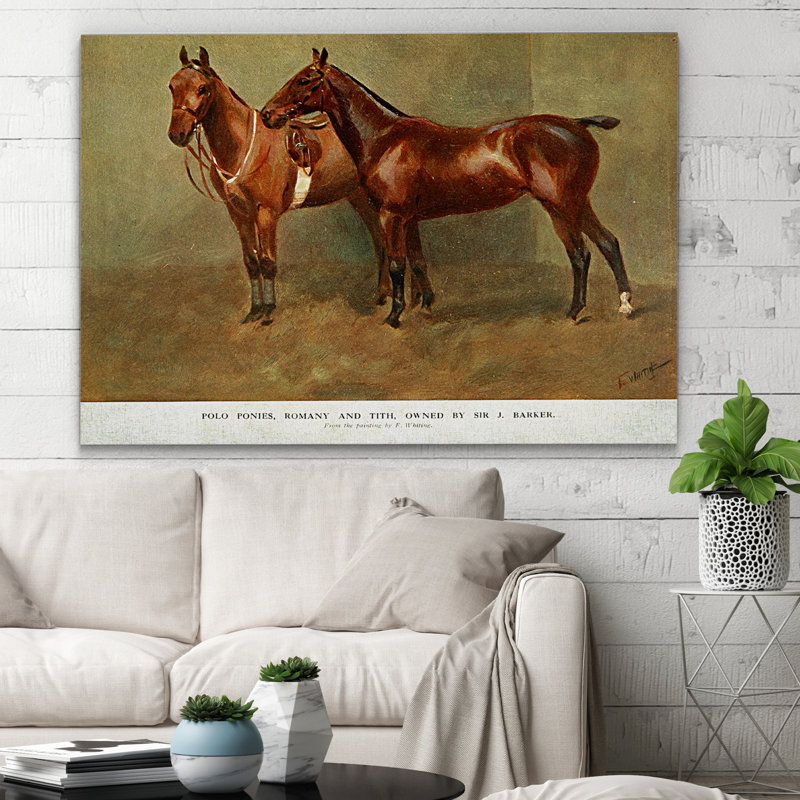 « équin sketch xxvi », impression, H 32 po x l 48 po x P 1,5 po, Pas de tapis, Toile tendue