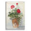 "POT Geraniums II Light" par Carol Rowan-2097731979