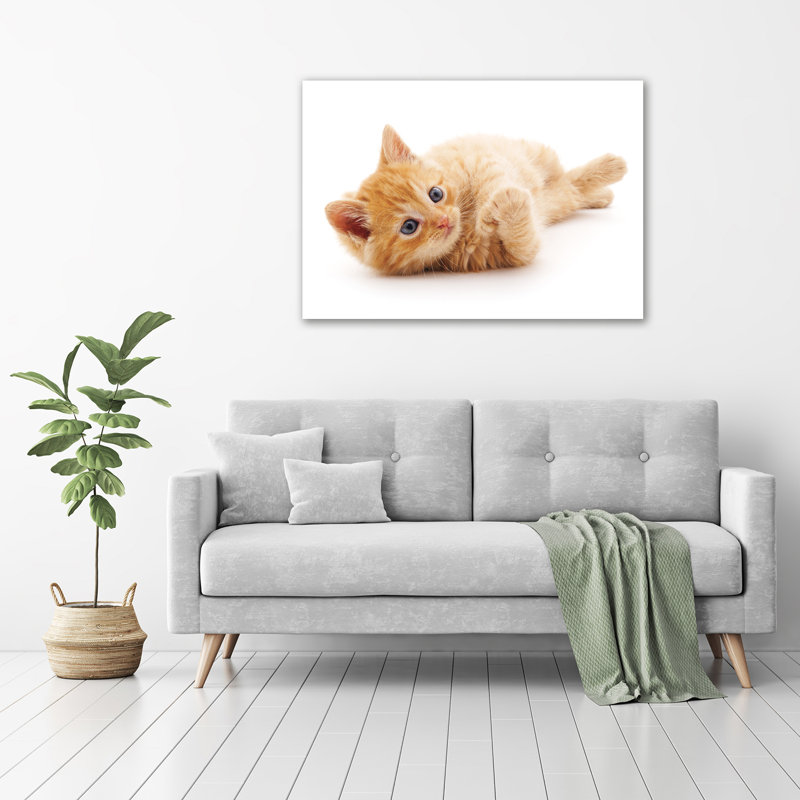 Red Cat - Unframed Art Prints on Glass