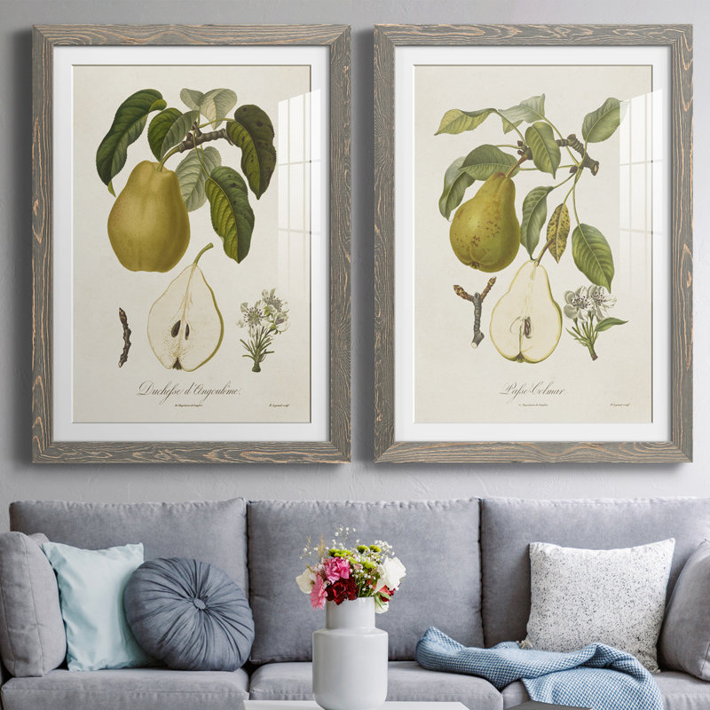Vintage Pears I Premium encadré mat - prêt à être accroché, Cadre gris, H 24 po x l 36 po x P 1,5 po