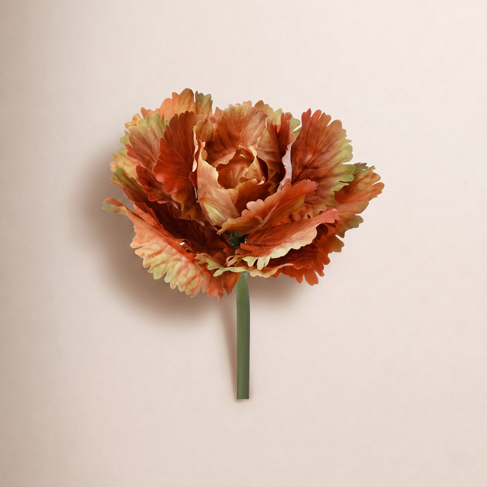 10" Autumn Cabbage Stem, Cinnamon
