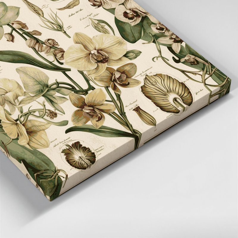 "Botanical Vintage", botanique, illustrations sur toile beige, H 16 po x l 20 po