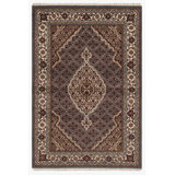 Oriental Area Rug in Brown