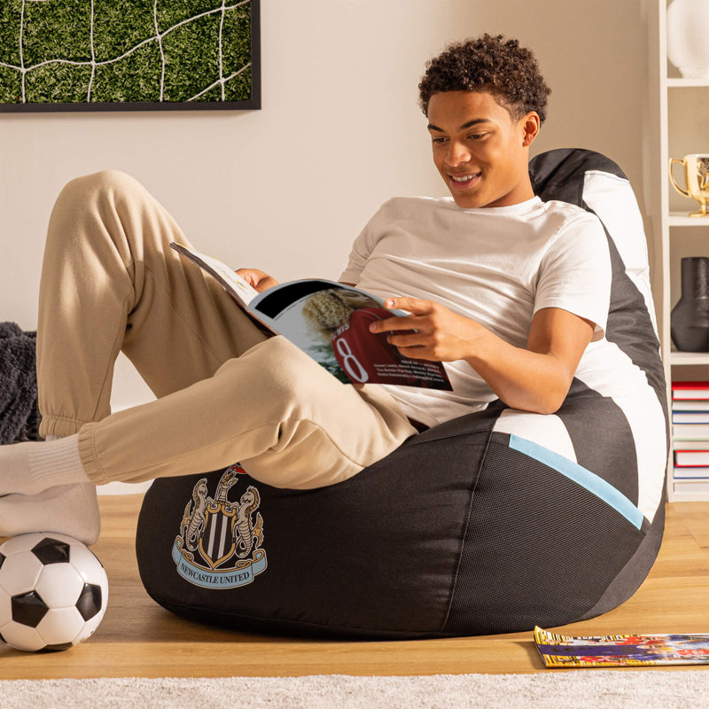 Gaming Polyester Blend Refillable Bean Bag Chair