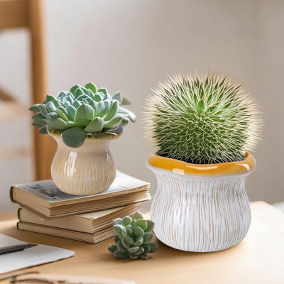 2-pack Ceramic Flower Pots With Drainage
