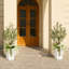 Olivier artificiel Adcock 4FT - Faux olivier résistant aux rayons UV avec jardinière conique et plantes décoratives-1645634870