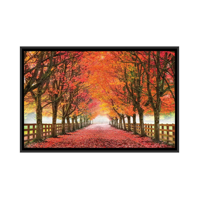 North Bend Trees - reproduction de photo sur toile tendue, H 18 po x l 26 po x P 1,5 po, Toile avec cadre noir, Pas de tapis