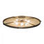 Carousel 8 - Light Semi Flush Mount