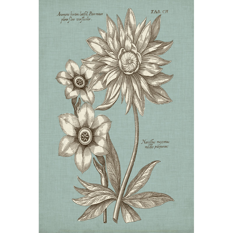 Chambray Chintz I - Wrapped Canvas Painting, 46cm H x 30cm W x 3.8cm D